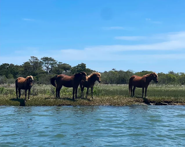 6 mile ride moment on the OC bay