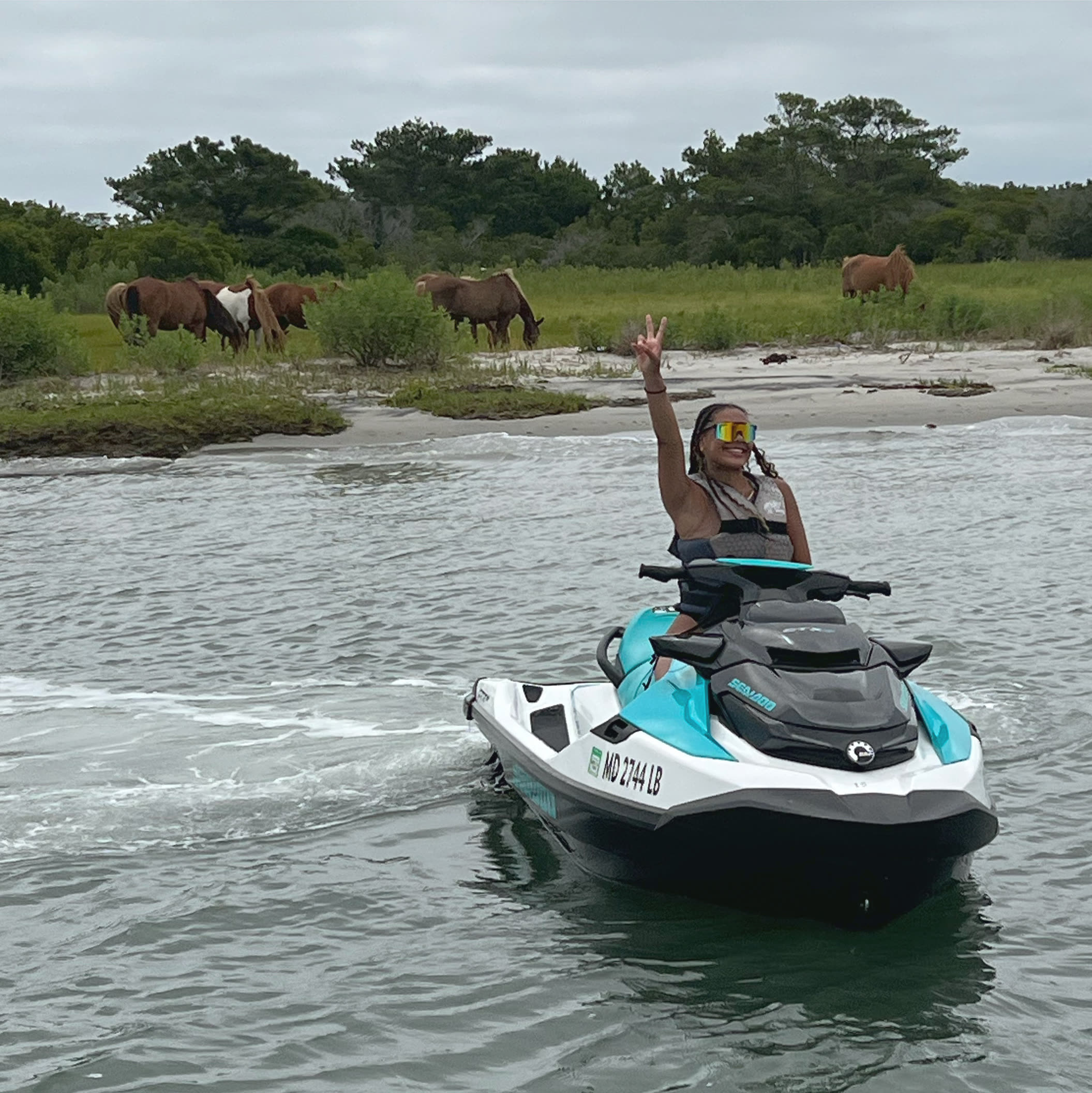 Bay side of Assateague Island where dolphins and wild horses can both be seen from the water