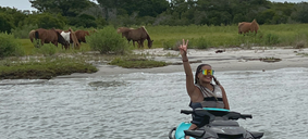 Wild horses on Assateague Island beach Maryland — seen from jet ski on the 6 mile ride