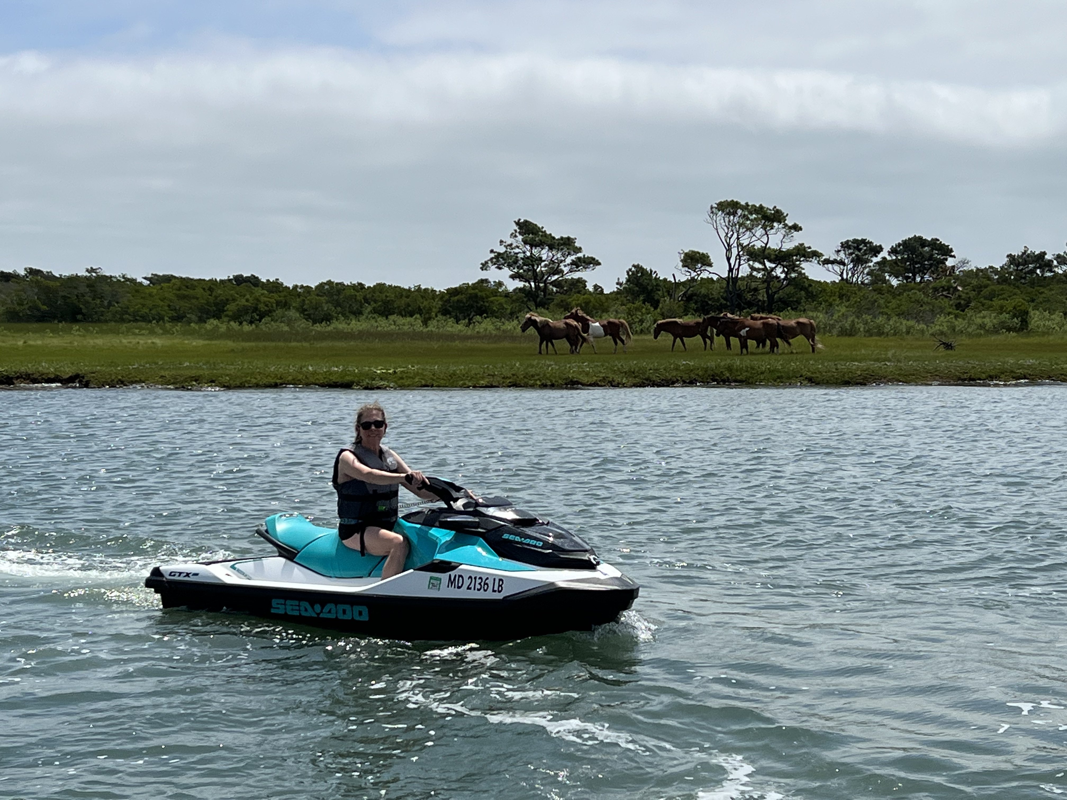 Dolphins spotted near jet ski route Ocean City MD