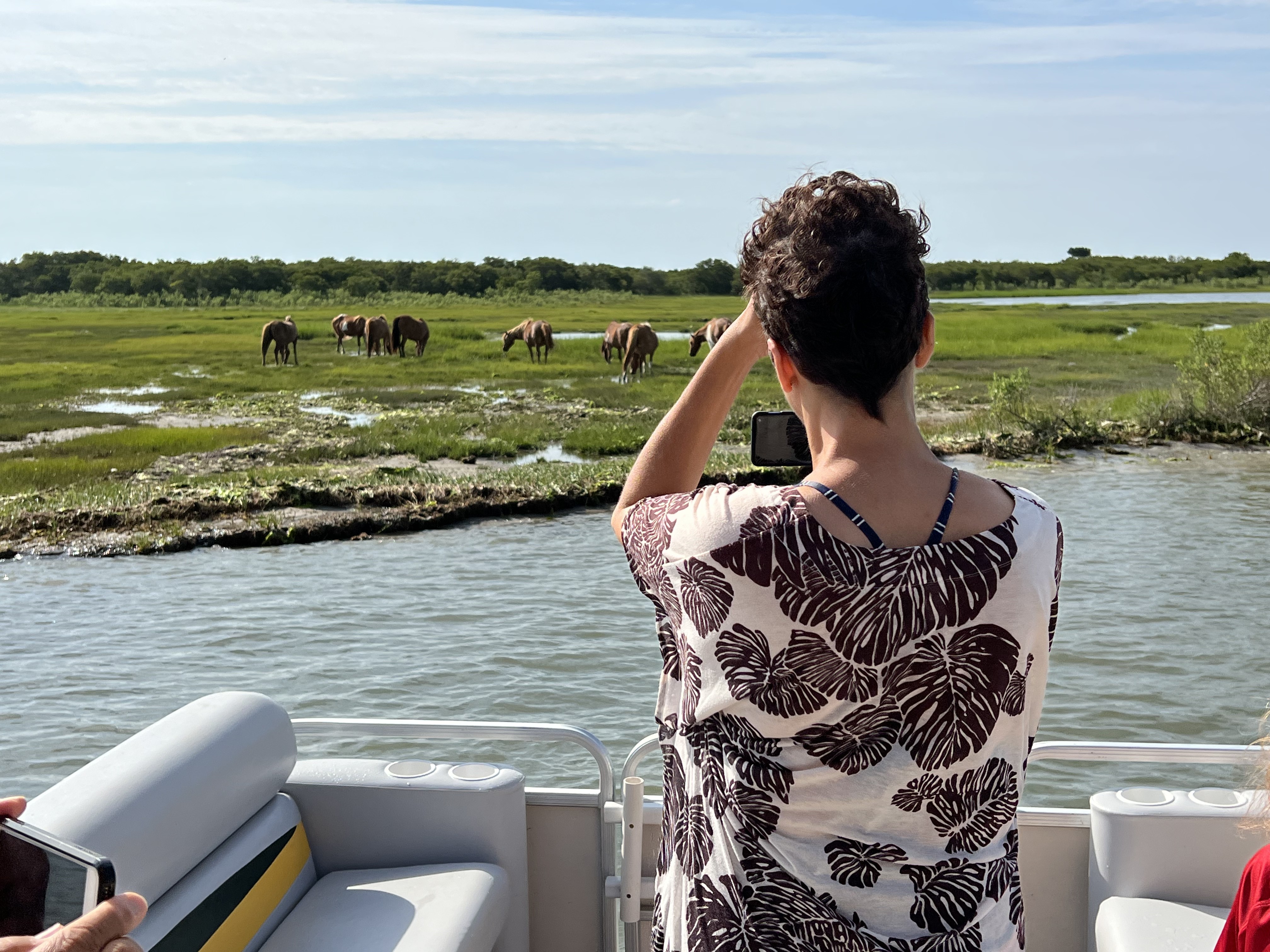 The Destination - Assateague Island